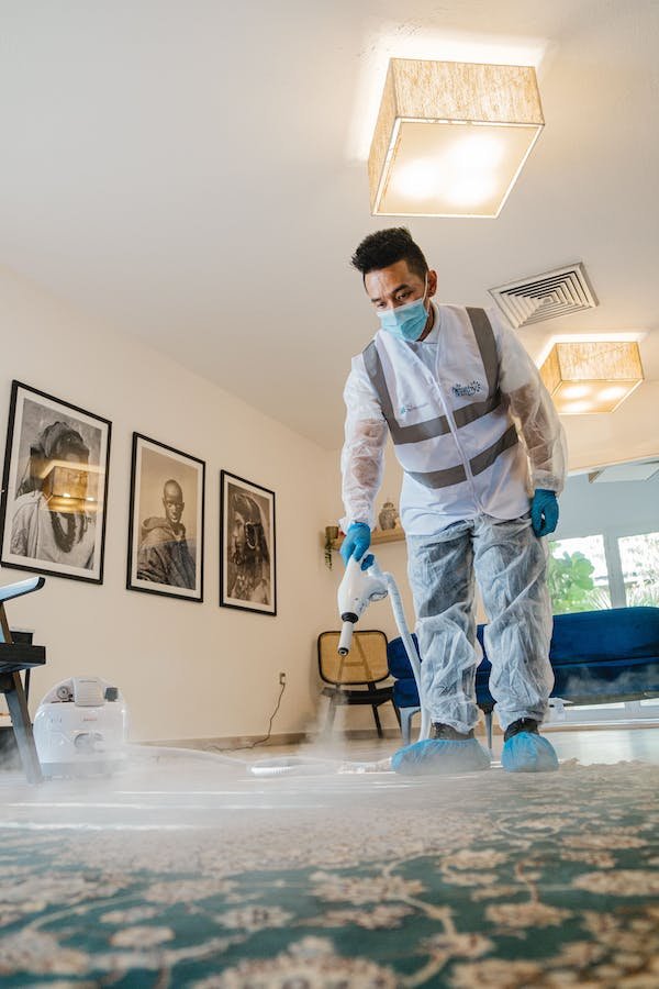 ipswich carpet cleaning