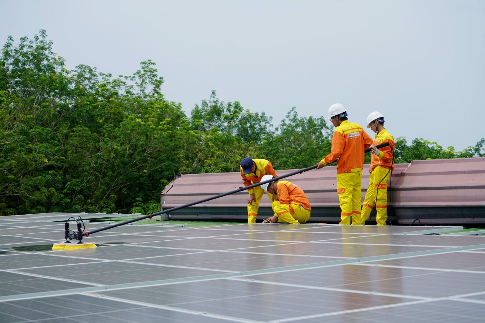 Solar Panel Cleaning