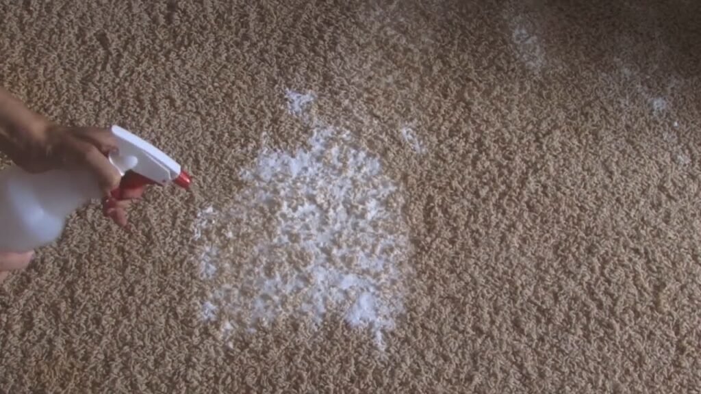 do it yourself carpet cleaning