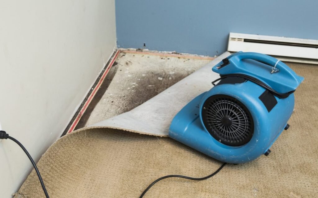 wet carpet cleaning